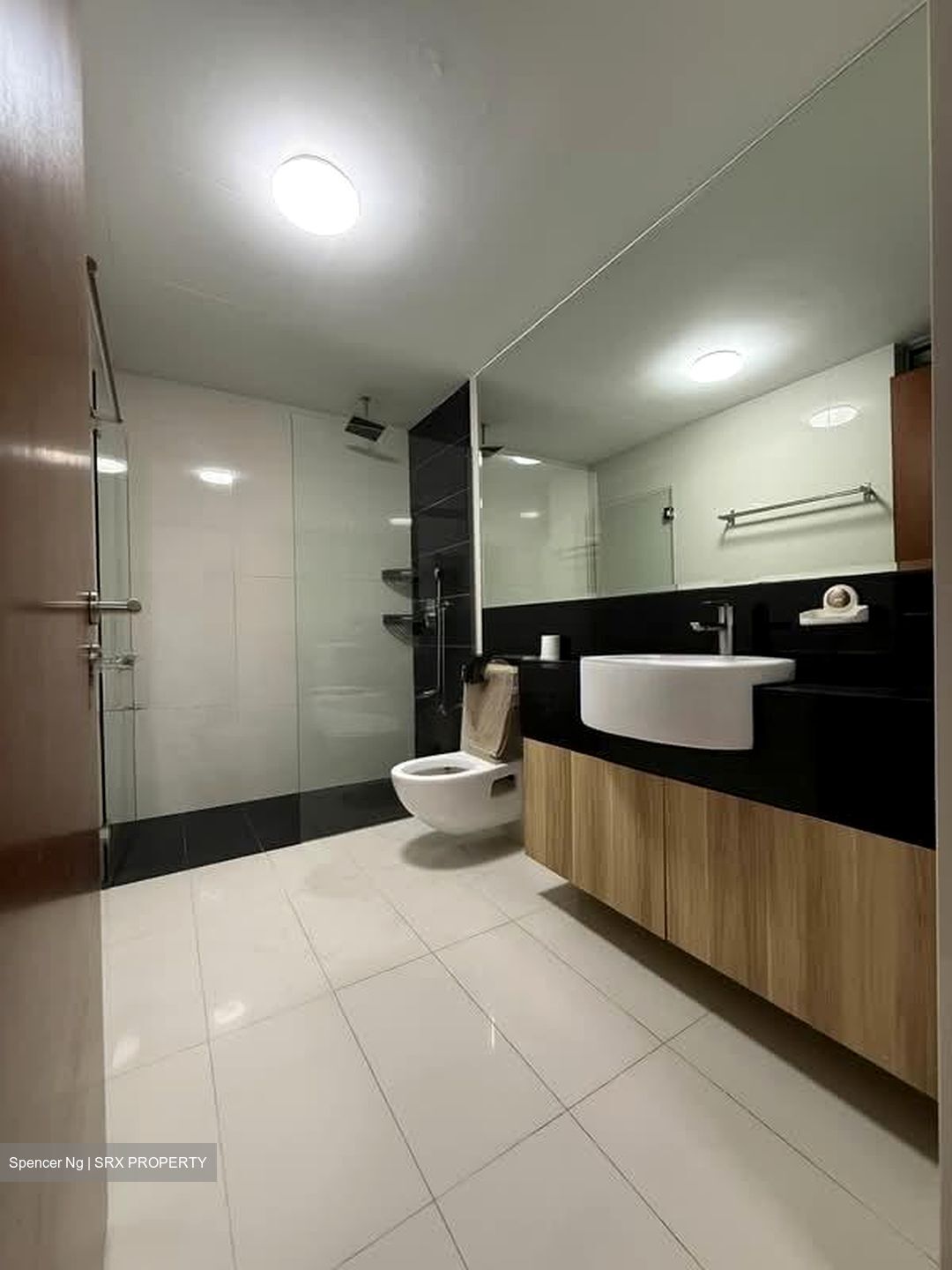 Alexis (D3), Apartment #557054361